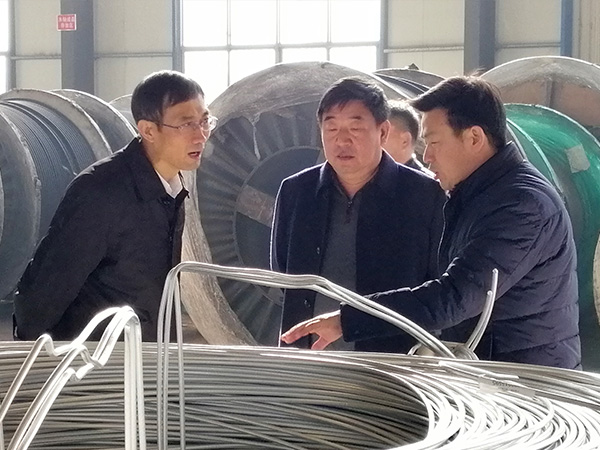 河北省市场监督治理局局长金洪钧到公司调研