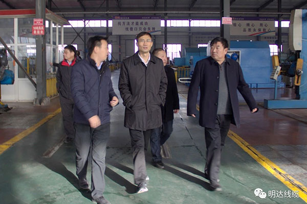 省市场监管局局长金洪钧调研公海5500线路检测
